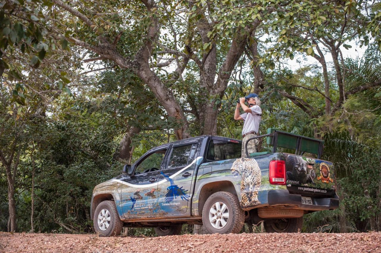 Pousada Araras Pantanal Eco Lodge Carvoalzinho Экстерьер фото