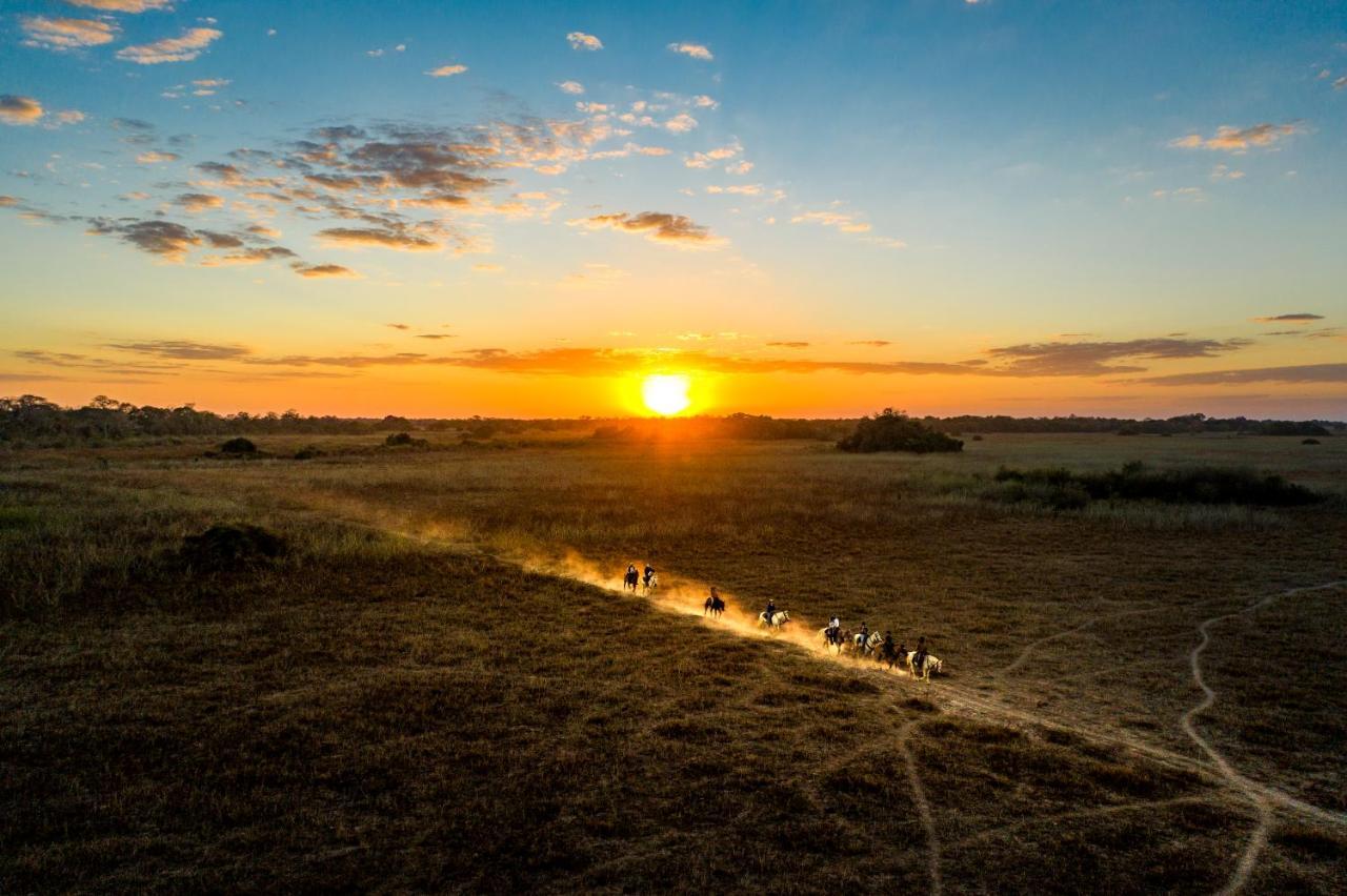 Pousada Araras Pantanal Eco Lodge Carvoalzinho Экстерьер фото
