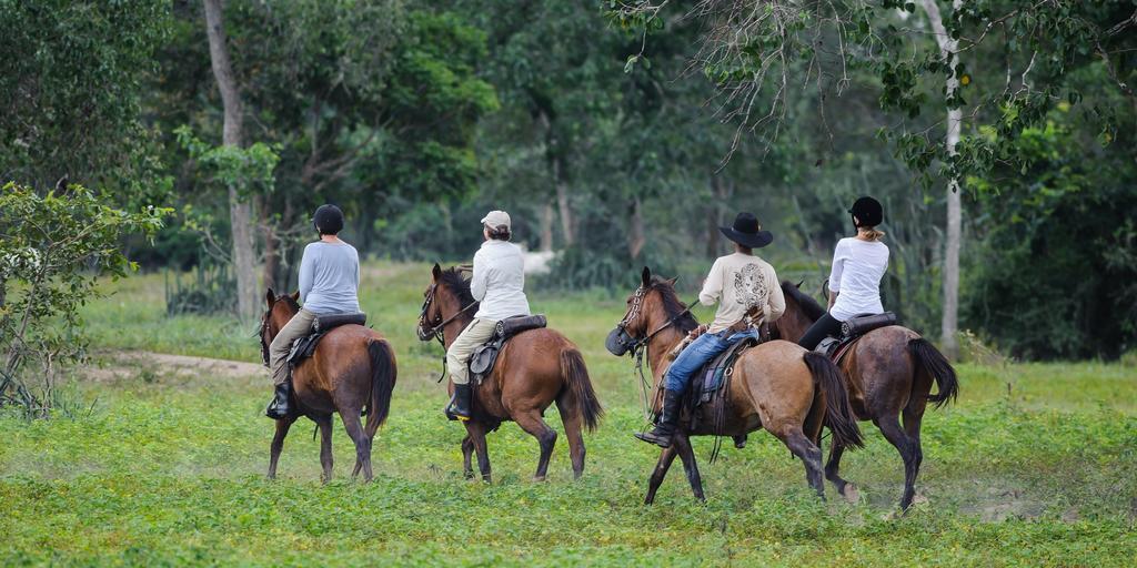 Pousada Araras Pantanal Eco Lodge Carvoalzinho Экстерьер фото