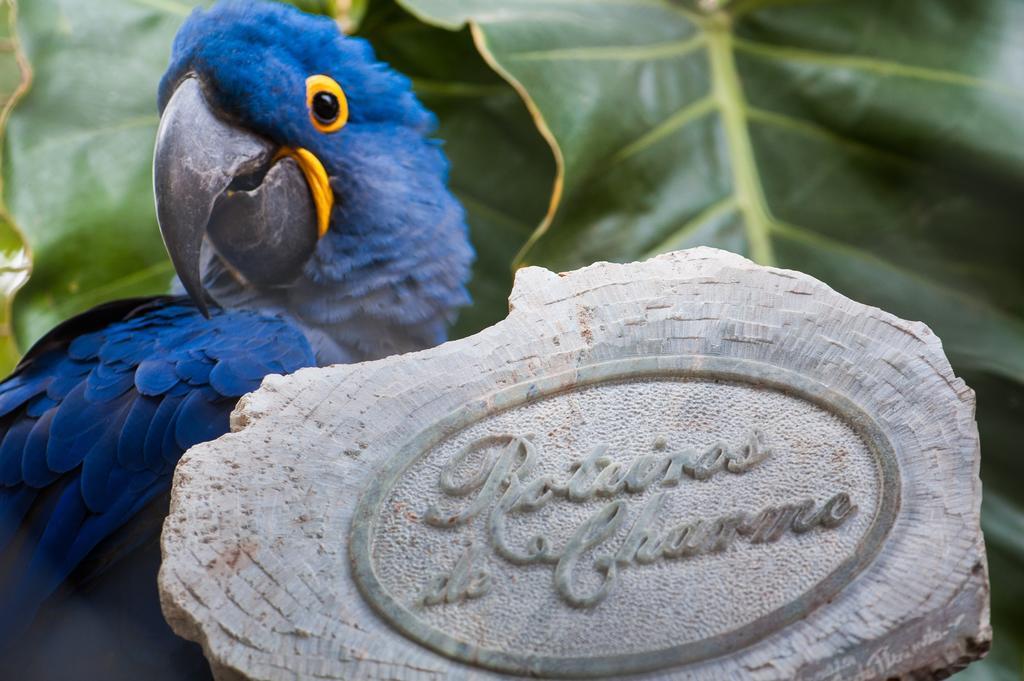Pousada Araras Pantanal Eco Lodge Carvoalzinho Экстерьер фото
