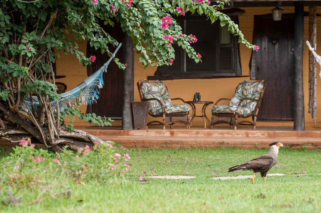 Pousada Araras Pantanal Eco Lodge Carvoalzinho Экстерьер фото