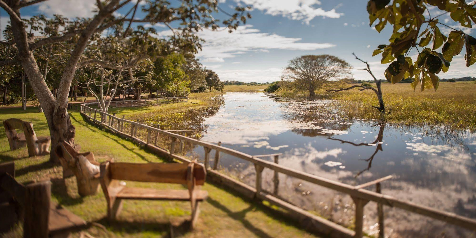Pousada Araras Pantanal Eco Lodge Carvoalzinho Экстерьер фото